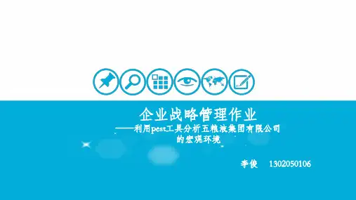 pest分析五粮液案例