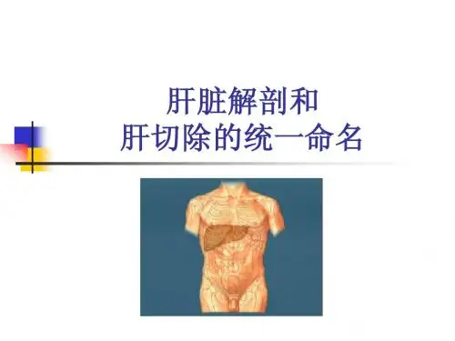 肝脏解剖和肝切除的统一命名
