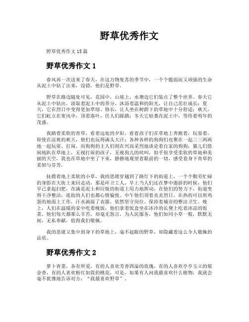 野草优秀作文