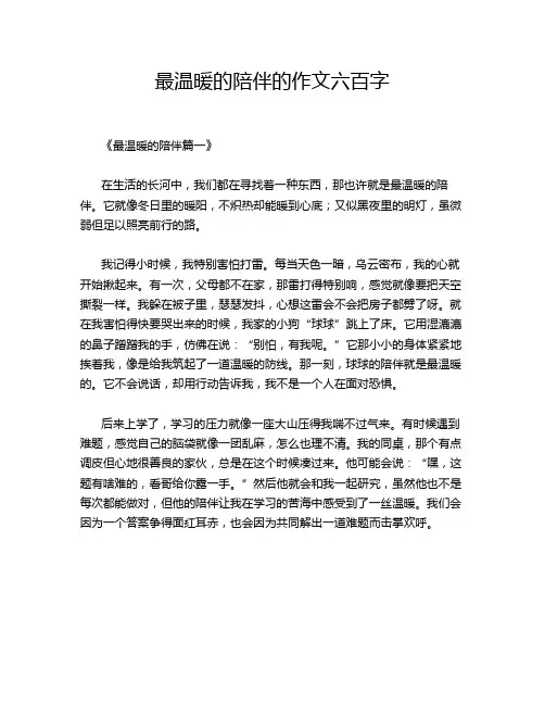 最温暖的陪伴的作文六百字