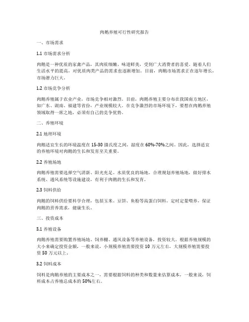 肉鹅养殖可行性研究报告