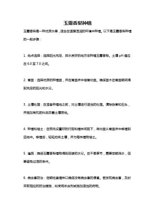 玉露香梨种植