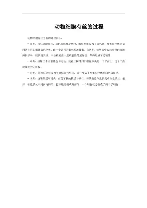 动物细胞有丝的过程