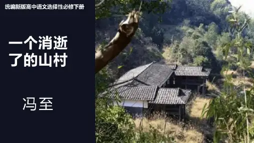 《一个消逝了的山村》ppt课件