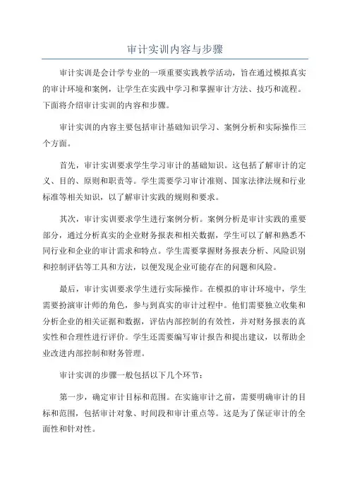 审计实训内容与步骤
