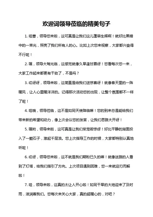 欢迎词领导莅临的精美句子