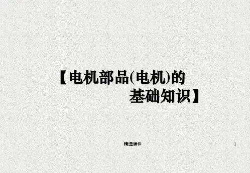 电机基础ppt课件