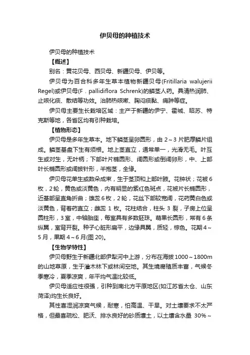 伊贝母的种植技术
