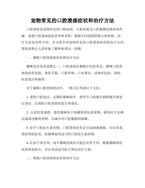 宠物常见的口腔溃疡症状和治疗方法