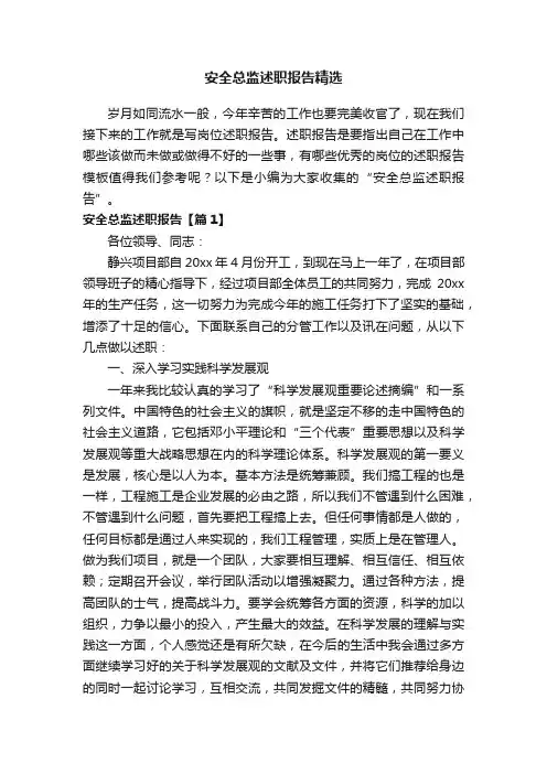 安全总监述职报告精选