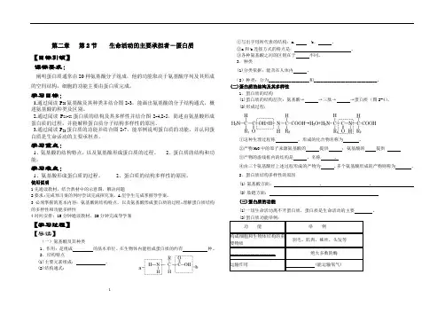蛋白质-导学案