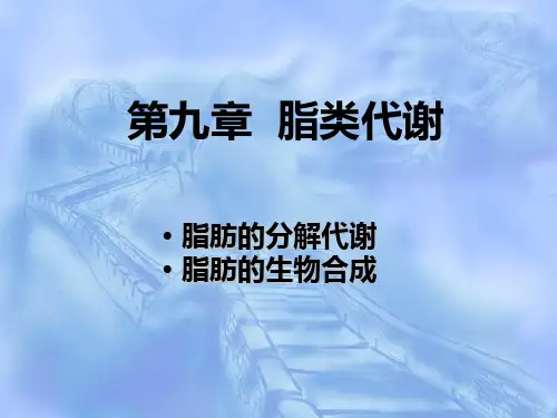 第九章脂类代谢