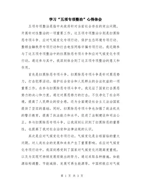 学习“五项专项整治”心得体会