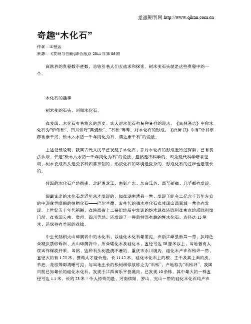 奇趣“木化石”