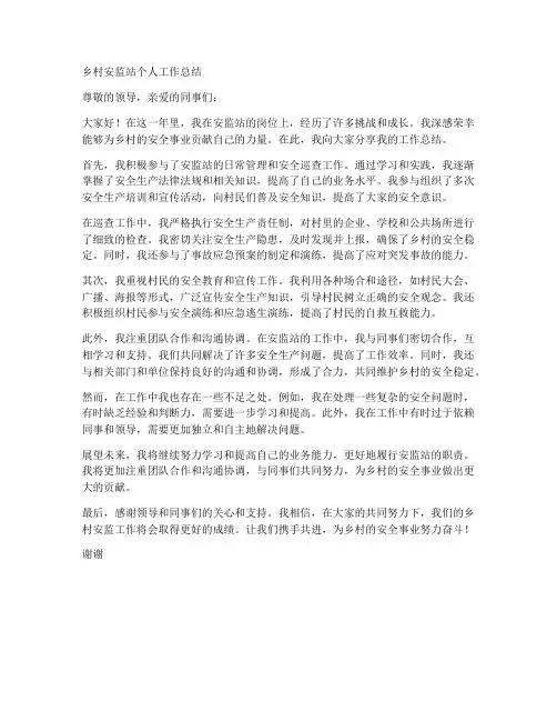 乡村安监站个人工作总结