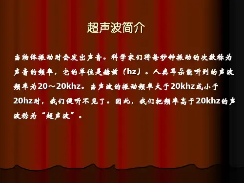 基桩超声波检测技术