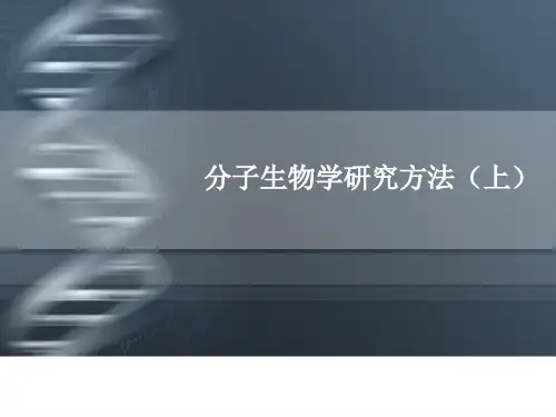 本科生分子生物学课件：第五章 分子生物学研究方法(上)