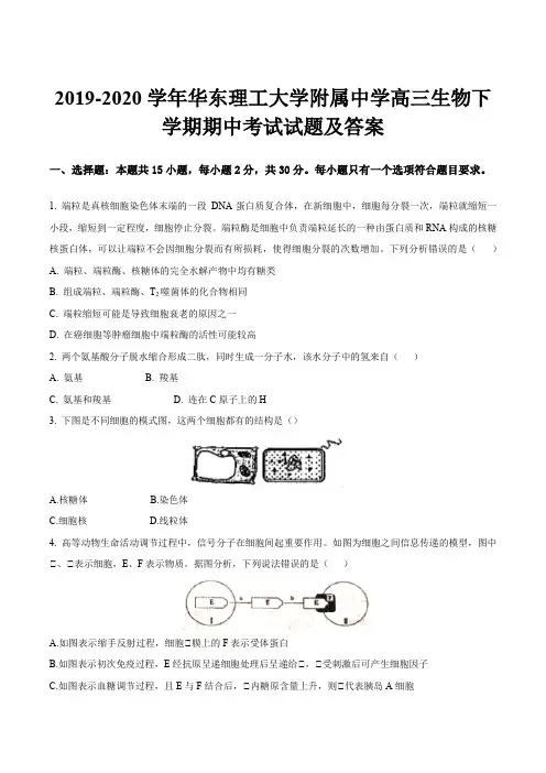 2019-2020学年华东理工大学附属中学高三生物下学期期中考试试题及答案