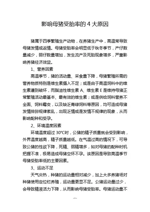 影响母猪受胎率的4大原因