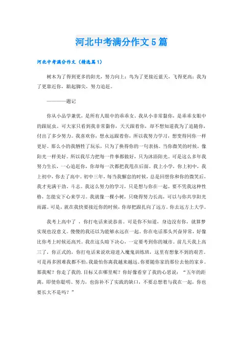 河北中考满分作文5篇
