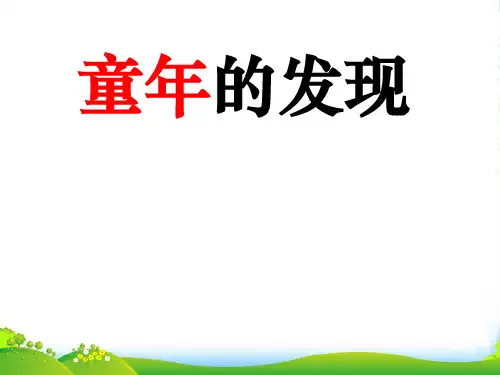 五年级语文下册 童年的发现 4课件 沪教