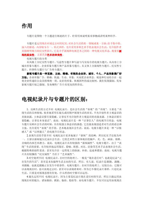 专题片