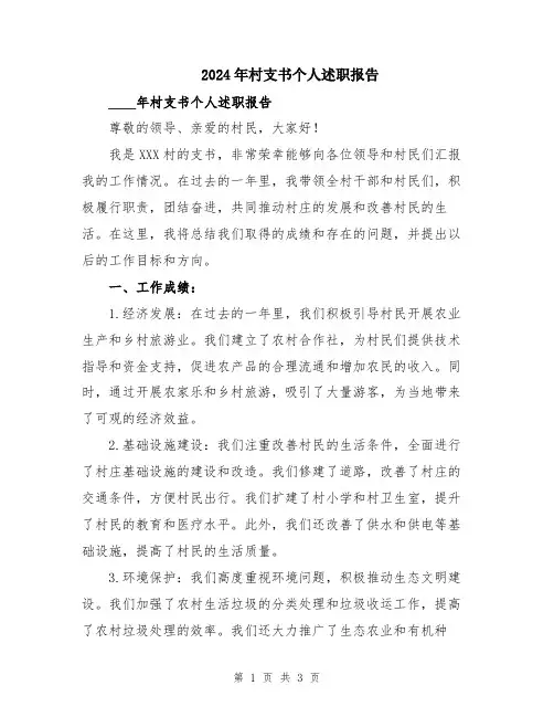 2024年村支书个人述职报告