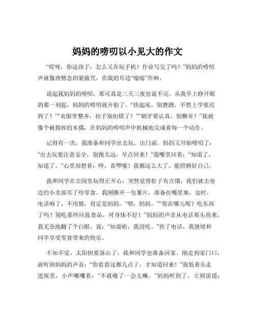 妈妈的唠叨以小见大的作文