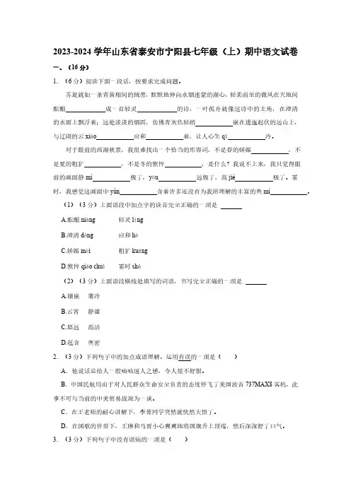 山东省泰安市宁阳县2023—2024学年七年级上学期期中考试语文试题(含解析)