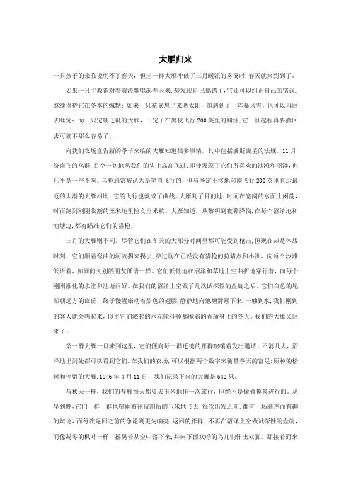 《大雁归来》原文