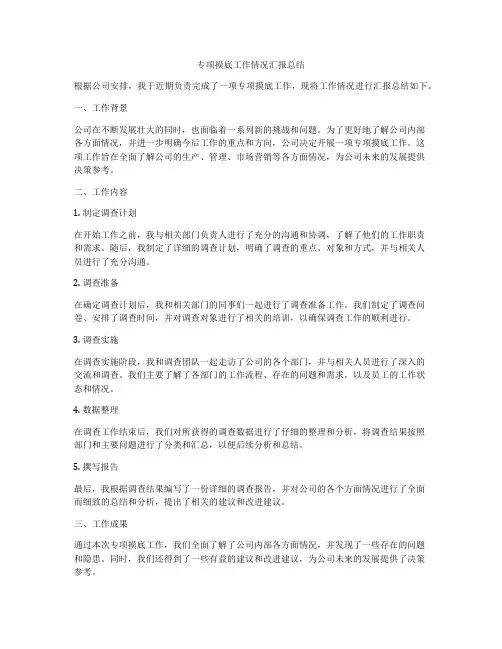 专项摸底工作情况汇报总结