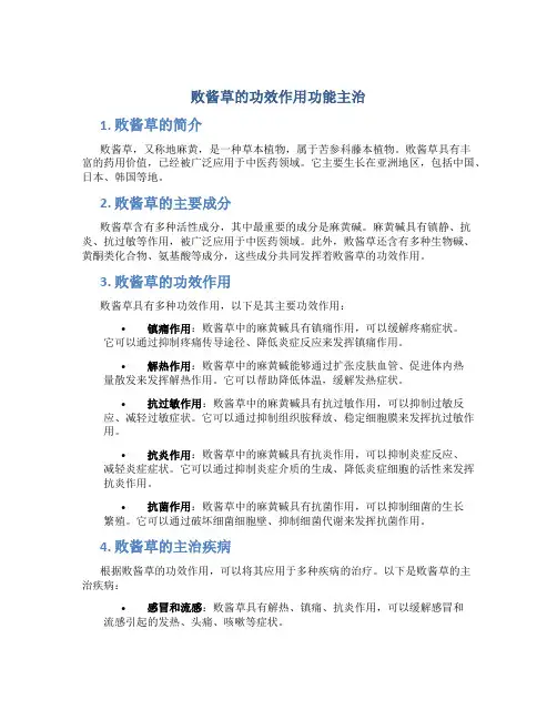 败酱草的功效作用功能主治