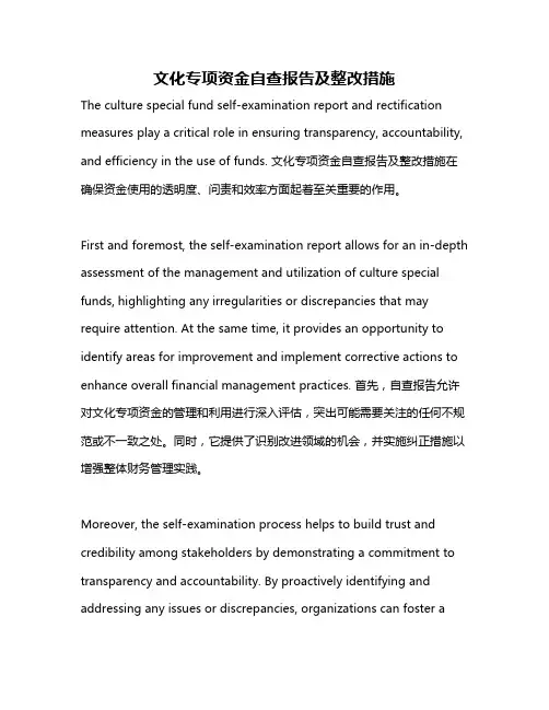 文化专项资金自查报告及整改措施