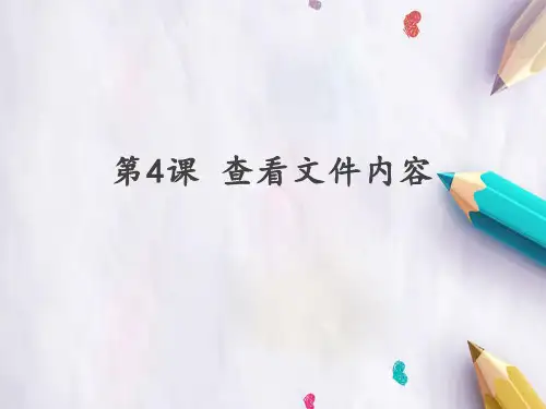 三年级信息技术下册第二单元文件管理第4课《查看文件内容》课件新人教版