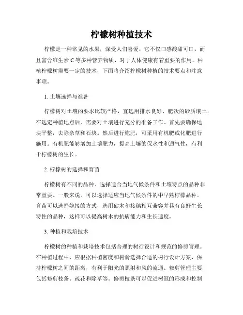 柠檬树种植技术