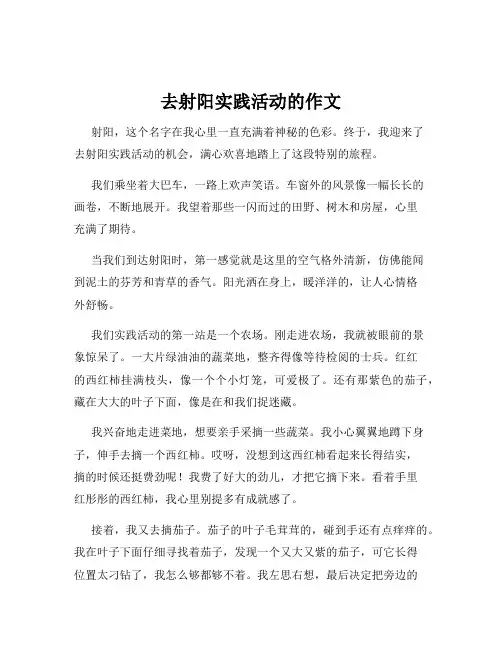 去射阳实践活动的作文