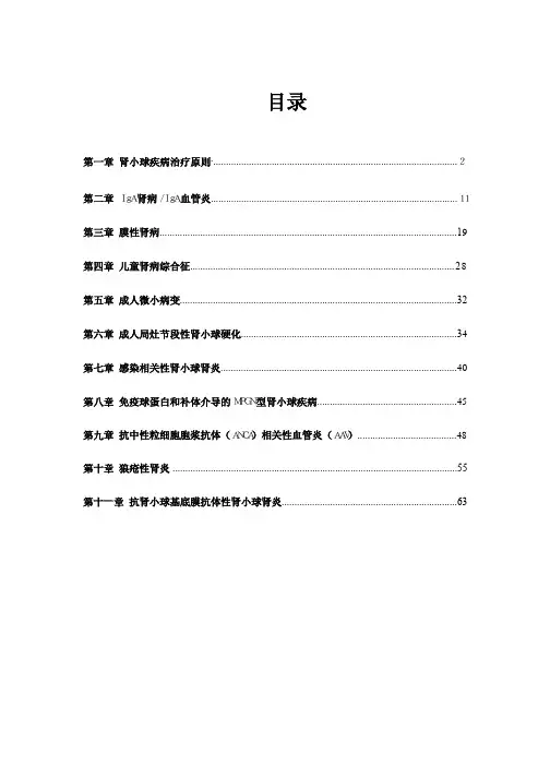 2020KDIGO指南中文版
