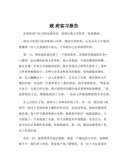 政 府实习报告