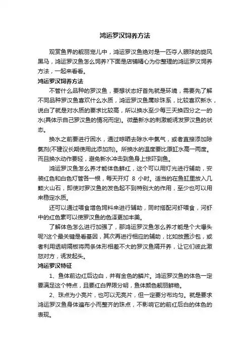 鸿运罗汉饲养方法