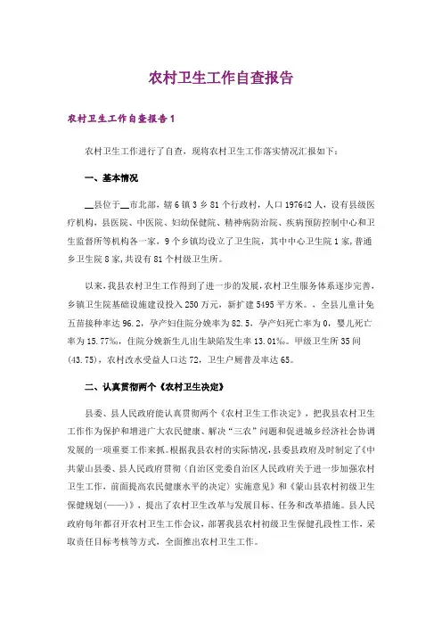 农村卫生工作自查报告