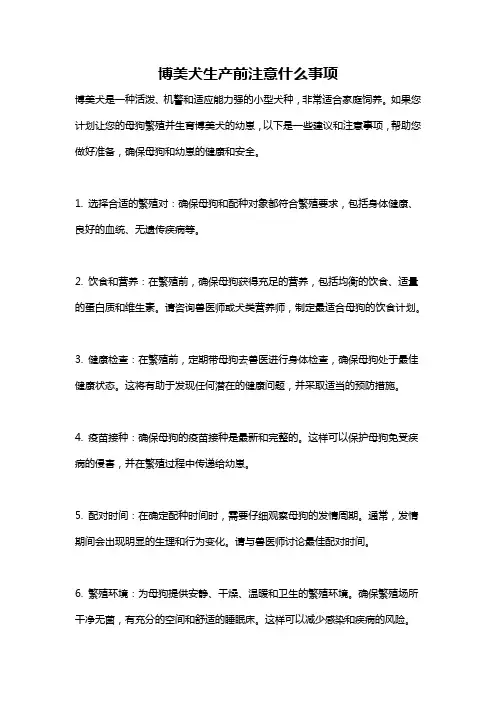 博美犬生产前注意什么事项