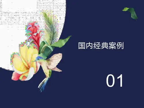 乡村旅游成功经典案例