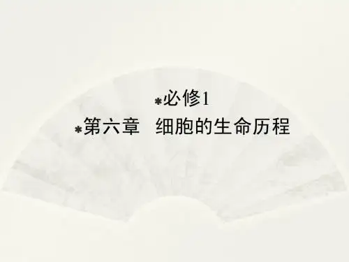 2014高三生物一轮复习课件:细胞的增殖