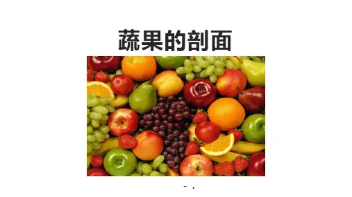 《蔬菜的剖面》PPT课件