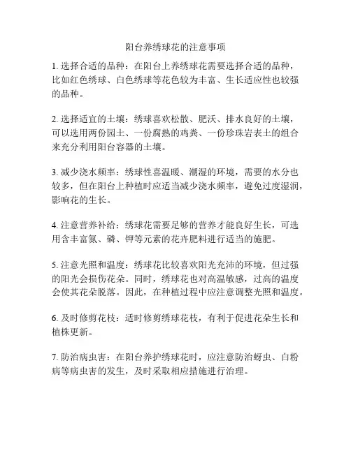 阳台养绣球花的注意事项