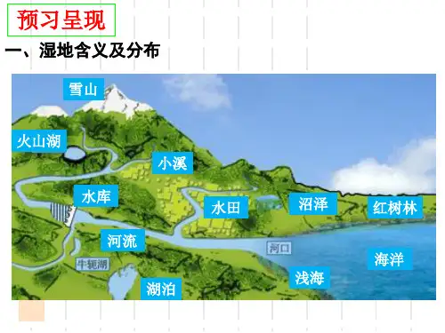湿地资源的开发与保护以洞庭湖区为例ppt课件
