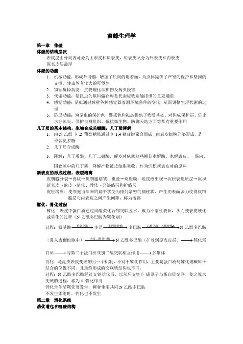 蜜蜂生理学