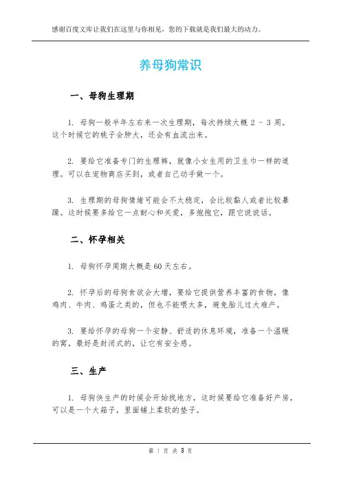 养母狗常识