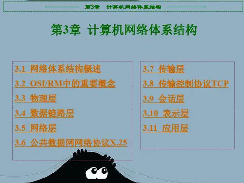 计算机网络体系结构