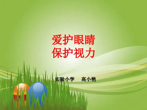 爱护眼睛保护视力PPT课件